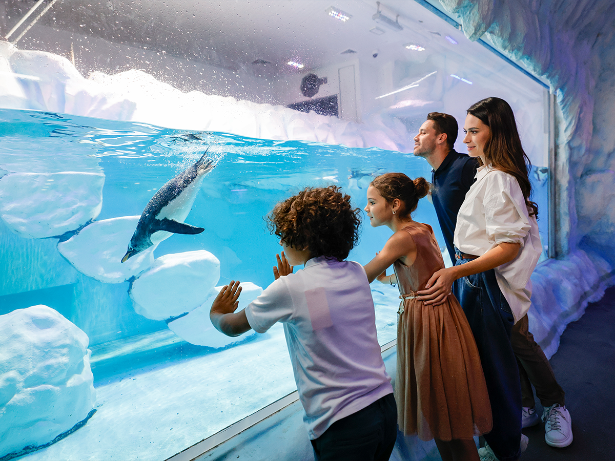 Dubai Aquarium and Underwater Zoo