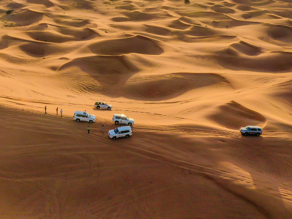 Desert Safari