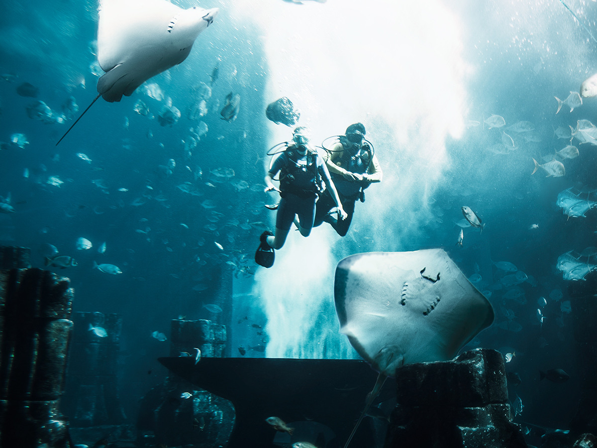 Lost World Aquarium
