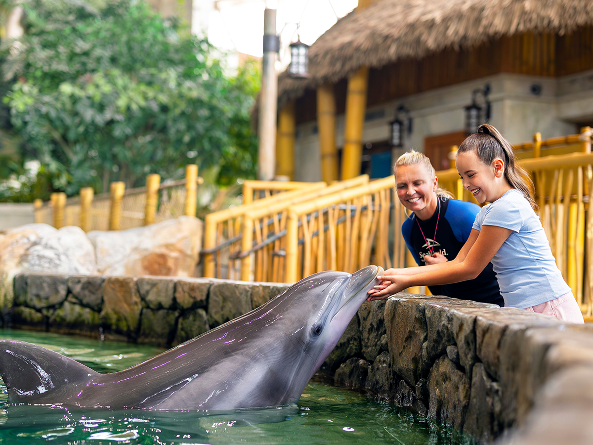 Yas Island park, representative SeaWorld Yas Island image