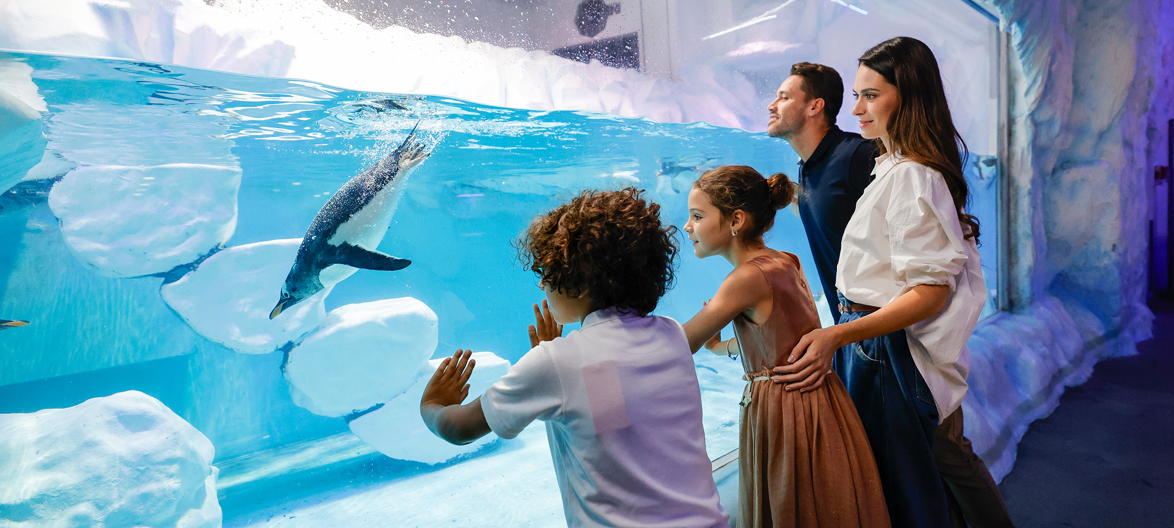 Dubai attractions and skyline